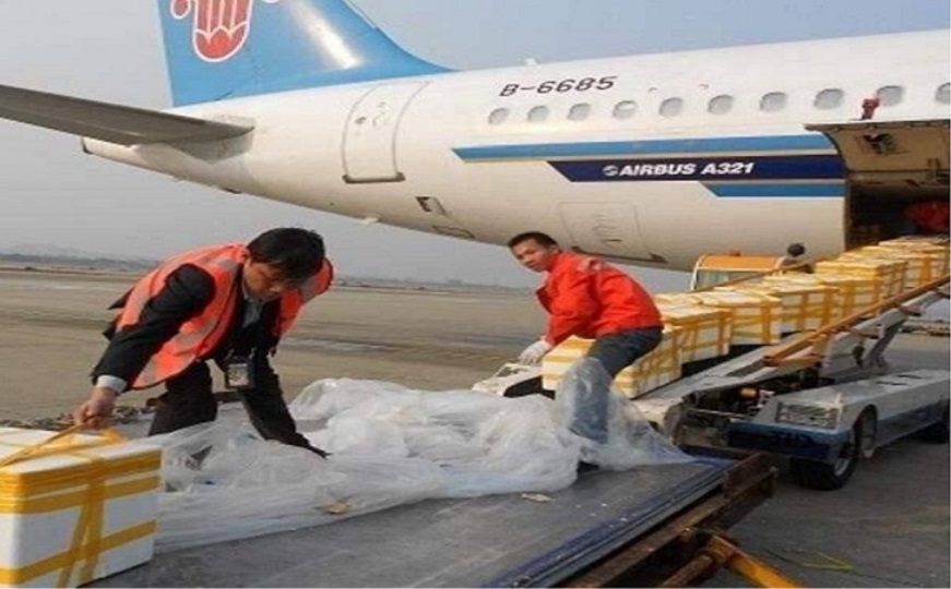 空運海鮮
